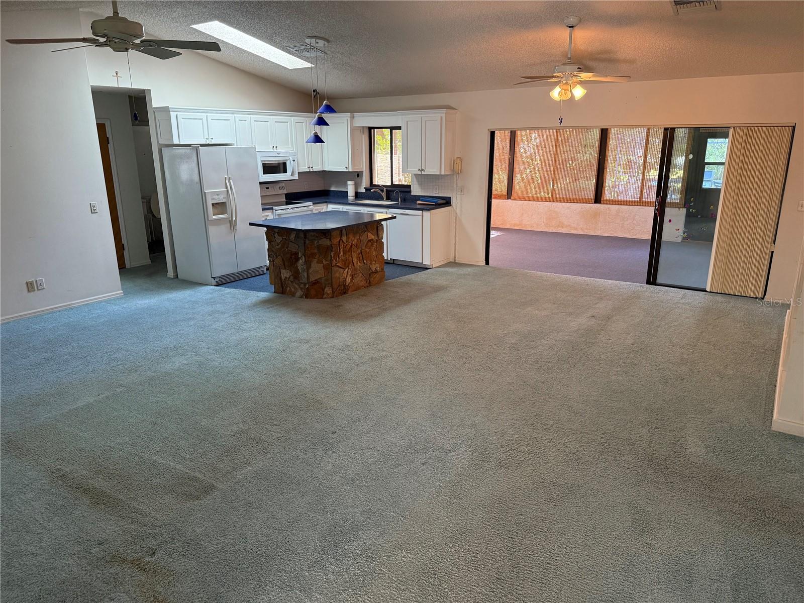 2494 COUNTY ROAD 447, LAKE PANASOFFKEE, FL, 33538