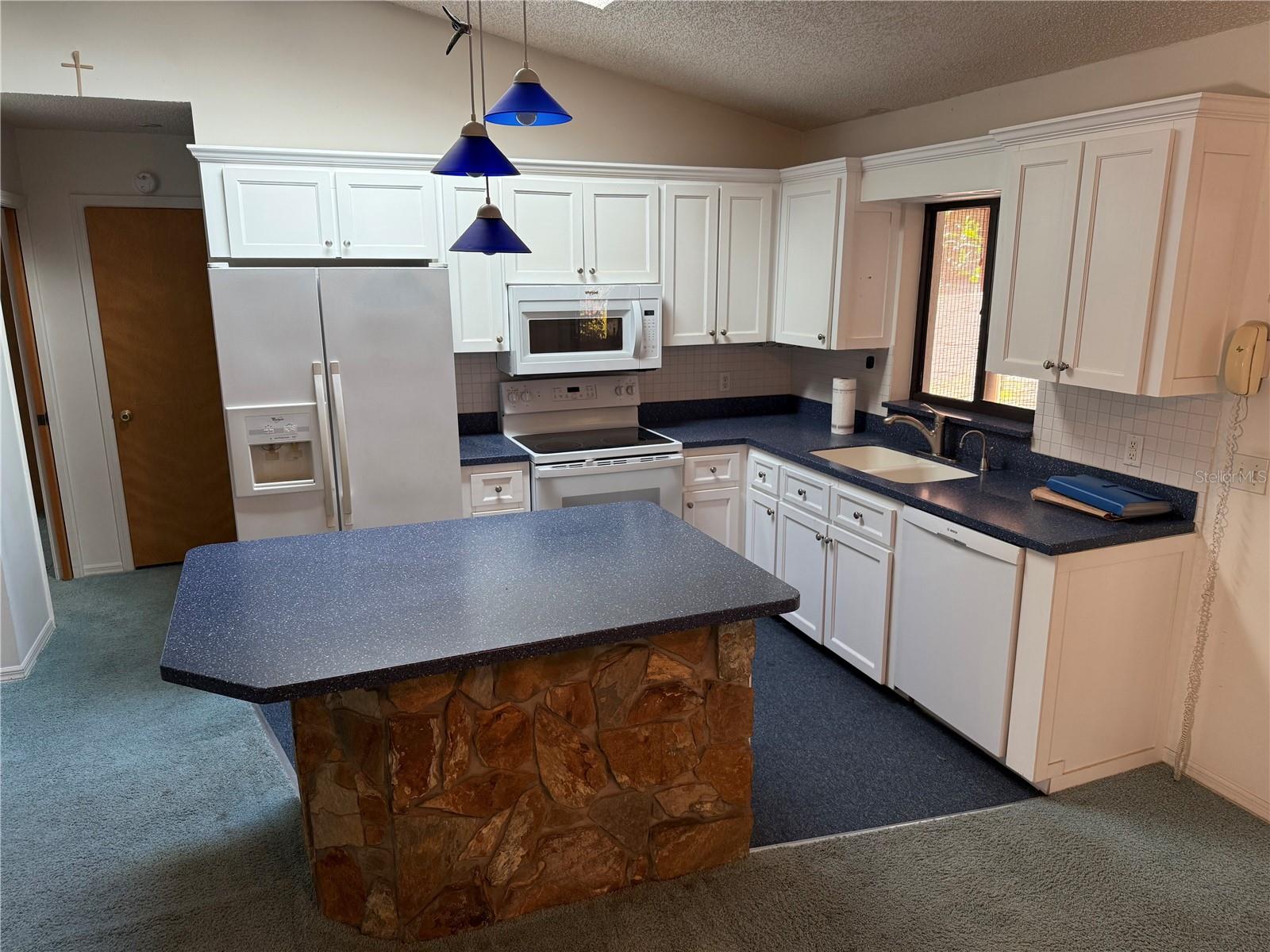 2494 COUNTY ROAD 447, LAKE PANASOFFKEE, FL, 33538