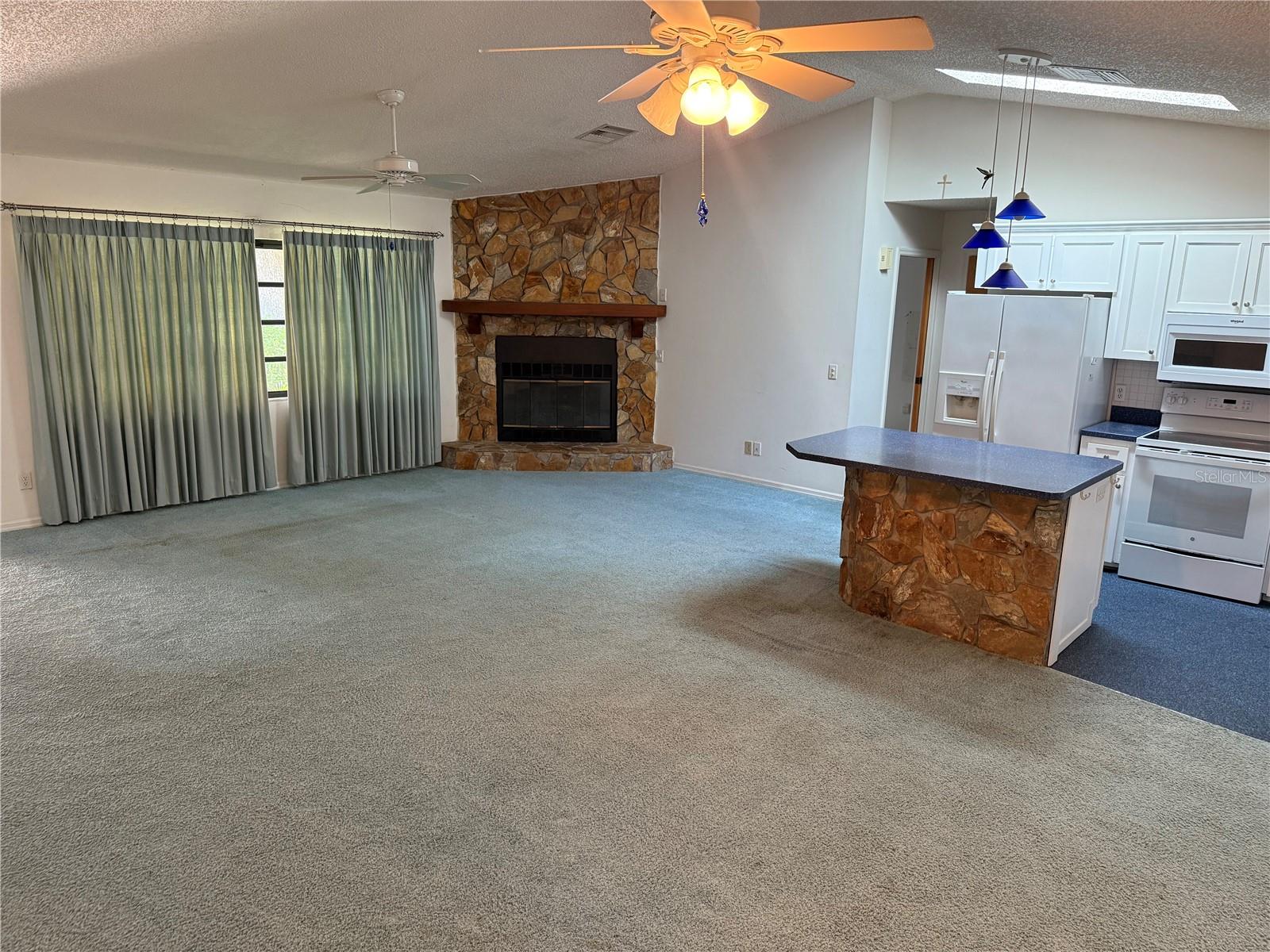 2494 COUNTY ROAD 447, LAKE PANASOFFKEE, FL, 33538