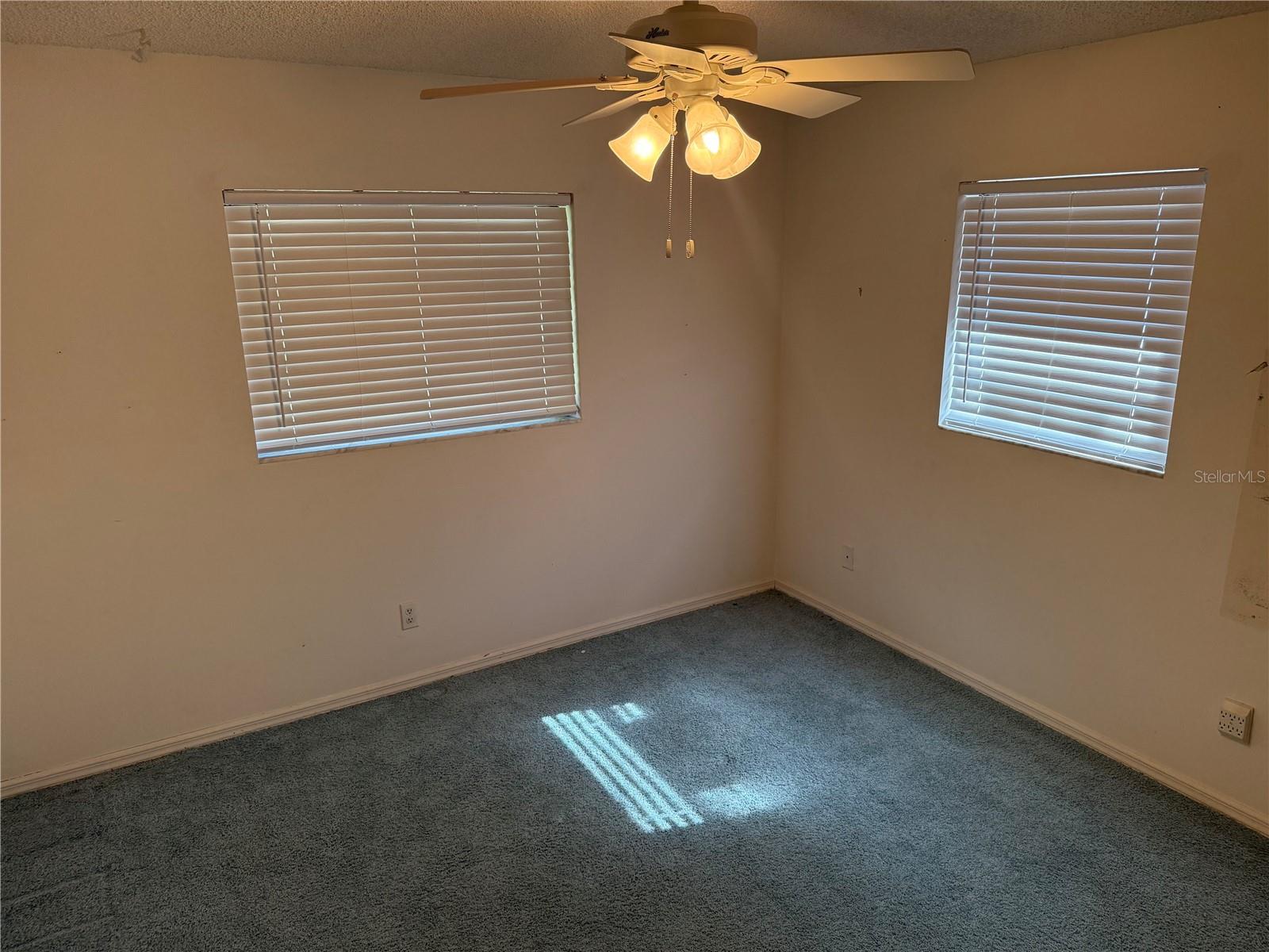 2494 COUNTY ROAD 447, LAKE PANASOFFKEE, FL, 33538