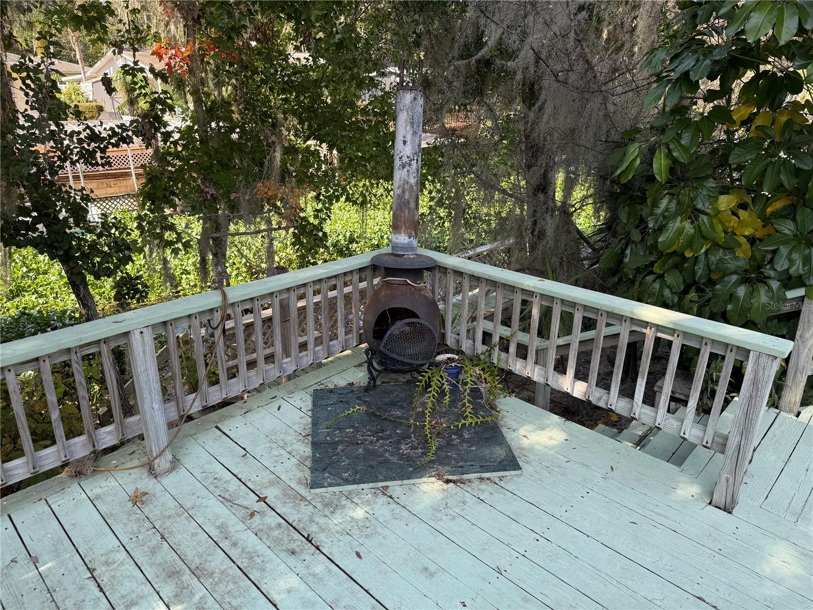 2494 COUNTY ROAD 447, LAKE PANASOFFKEE, FL, 33538