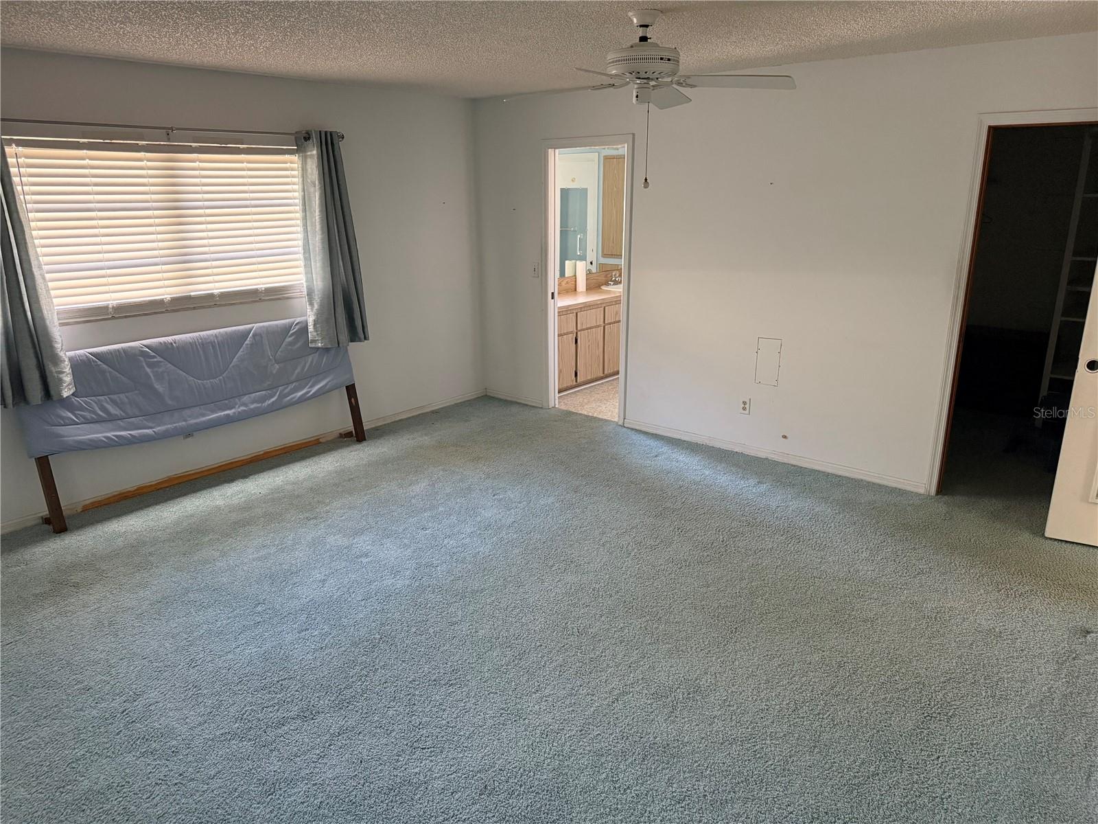 2494 COUNTY ROAD 447, LAKE PANASOFFKEE, FL, 33538