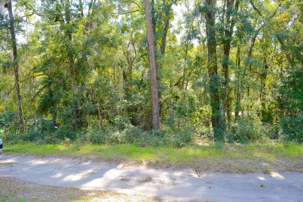 TBD NE 162ND PL, CITRA, FL, 32113