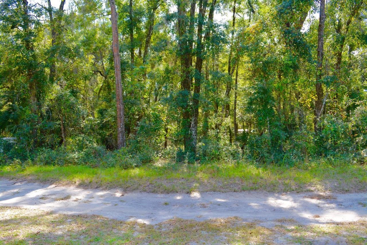 TBD NE 162ND PL, CITRA, FL, 32113