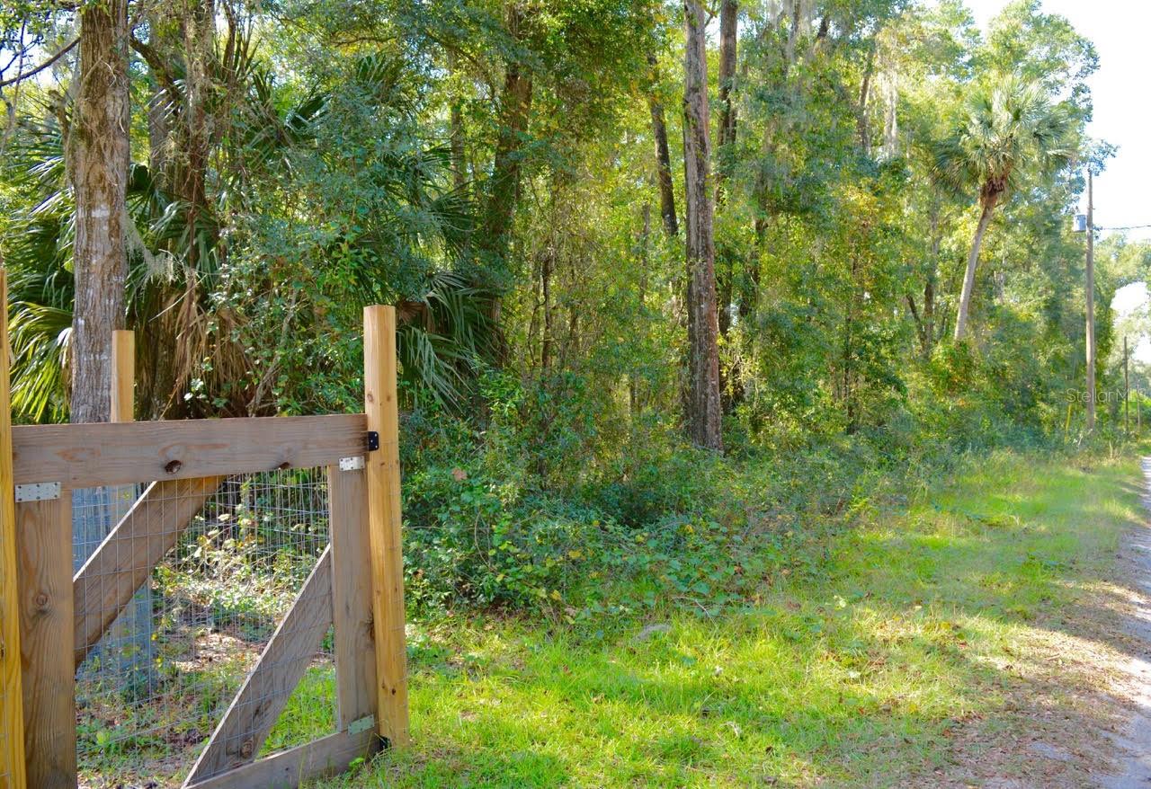 TBD NE 162ND PL, CITRA, FL, 32113