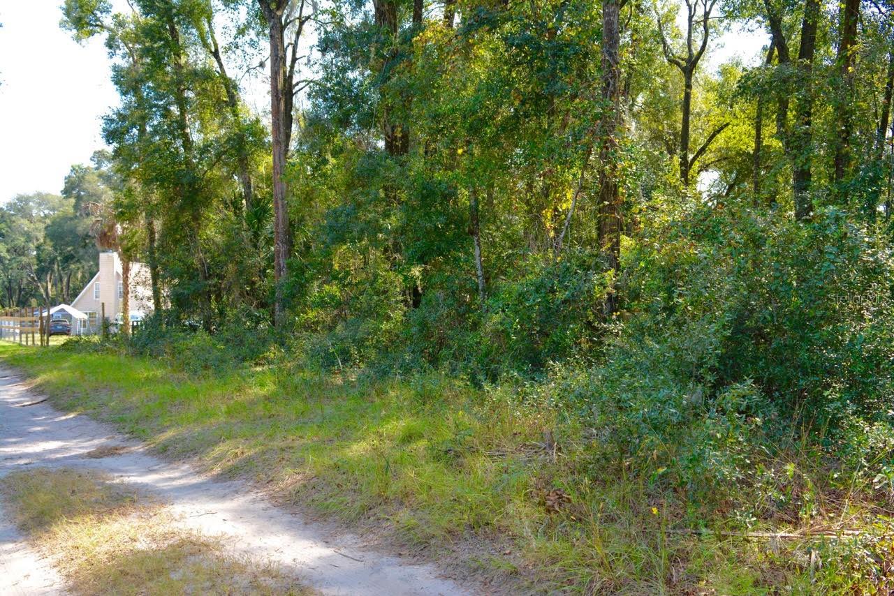 TBD NE 162ND PL, CITRA, FL, 32113