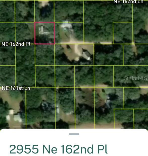 TBD NE 162ND PL, CITRA, FL, 32113