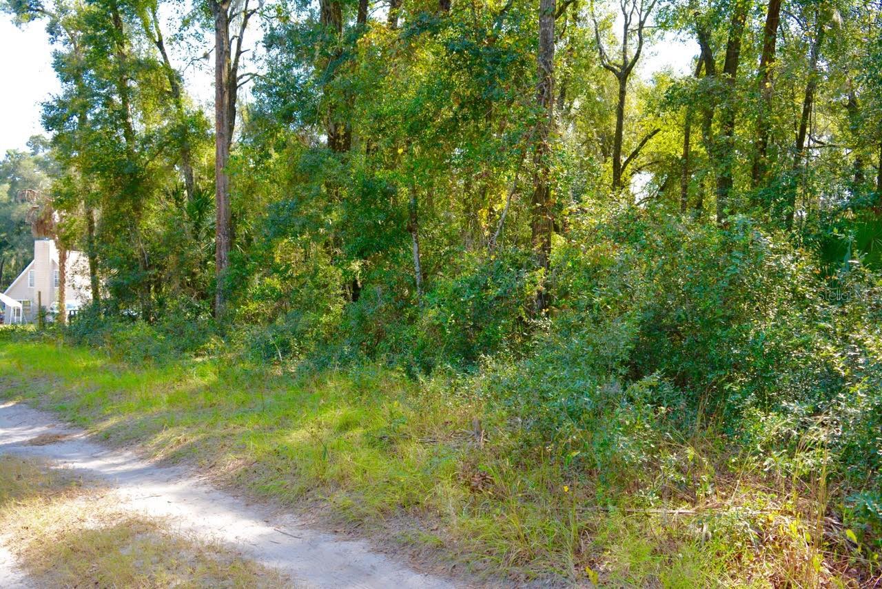 TBD NE 162ND PL, CITRA, FL, 32113
