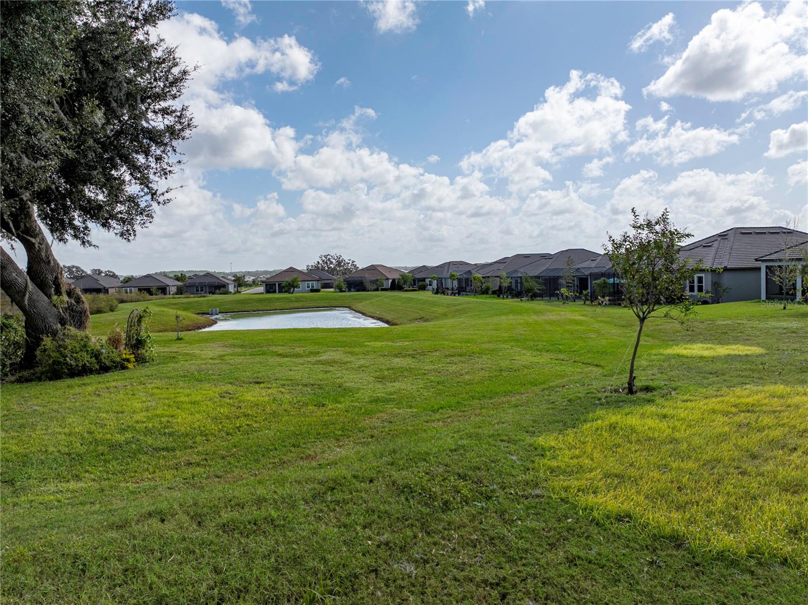 31475 CABANA RYE AVE, SAN ANTONIO, FL, 33576