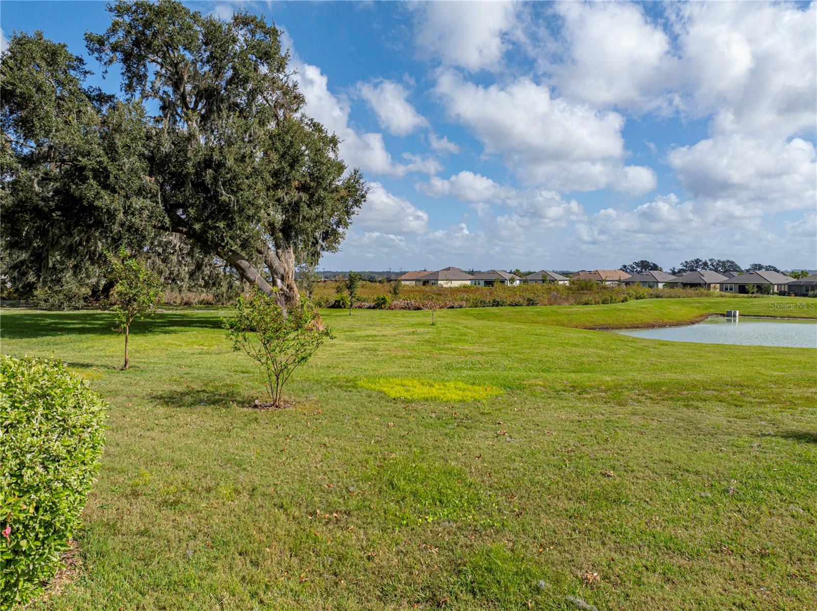 31475 CABANA RYE AVE, SAN ANTONIO, FL, 33576