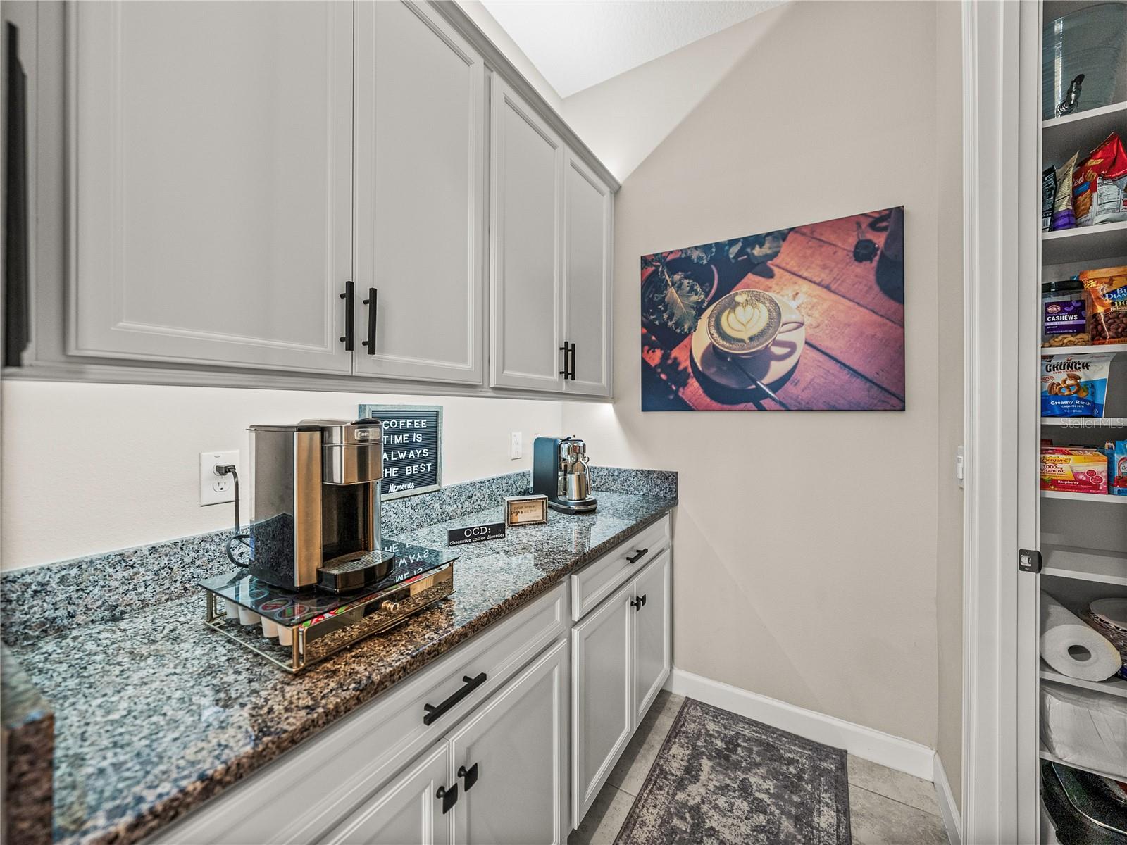31475 CABANA RYE AVE, SAN ANTONIO, FL, 33576