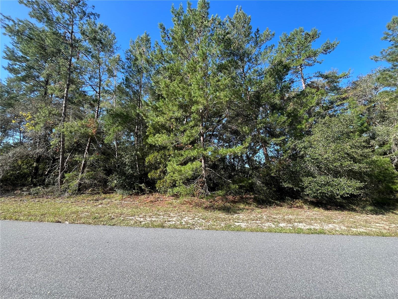 SW 34TH, OCALA, FL, 34473