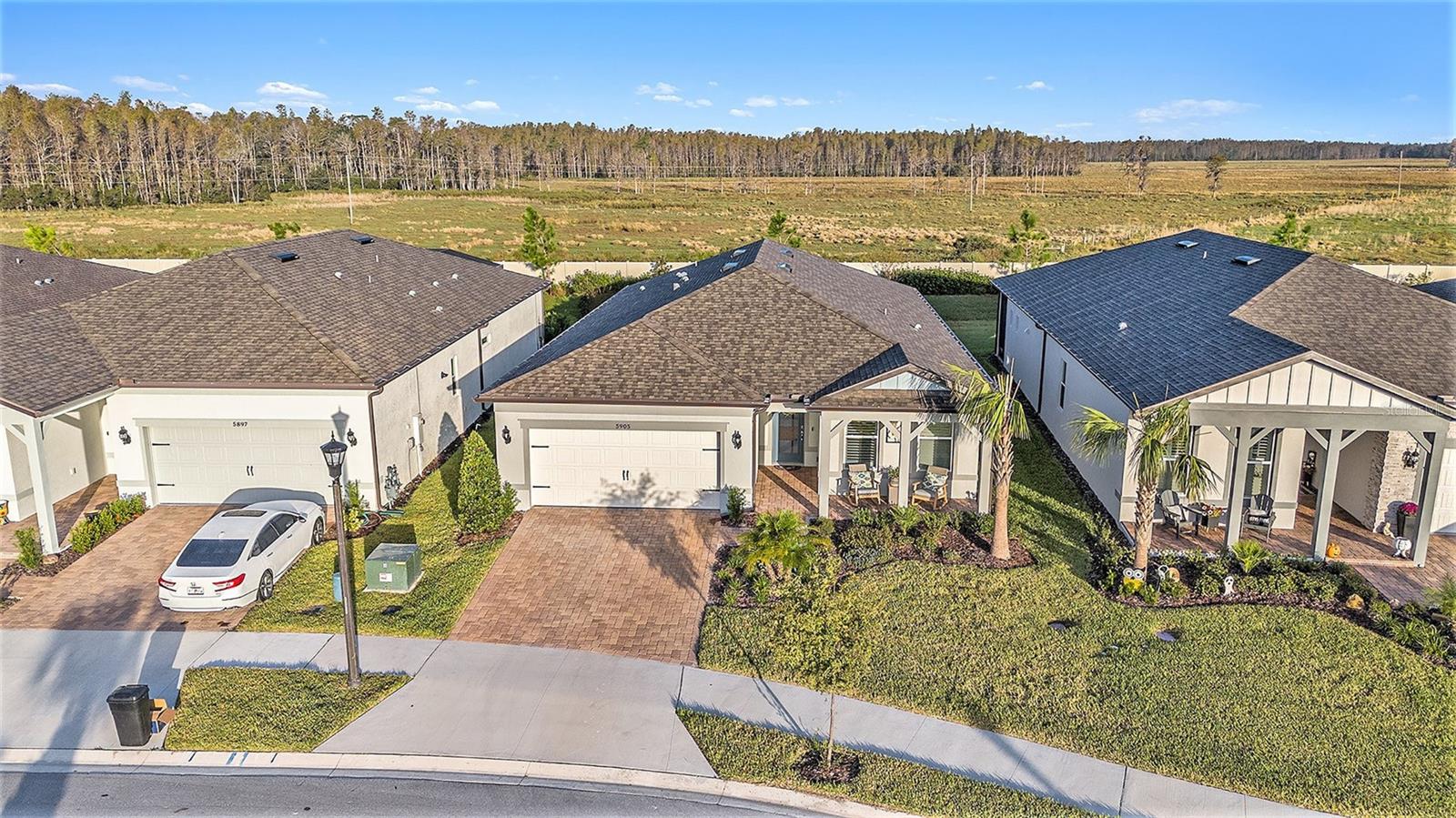 5905 SHOREBIRD BRANCH, LAND O LAKES, FL, 34638