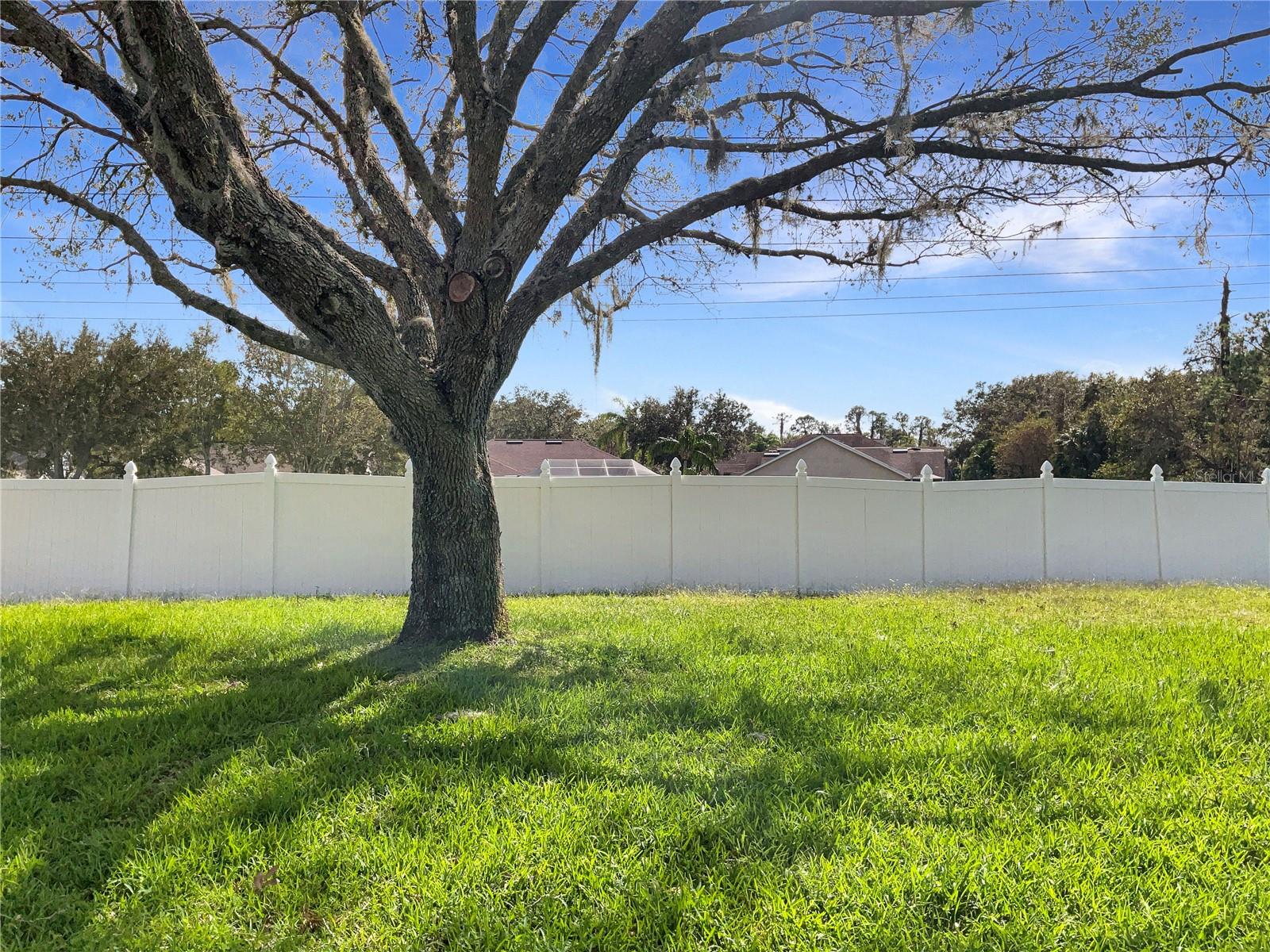 16843 HAWKRIDGE RD, LITHIA, FL, 33547