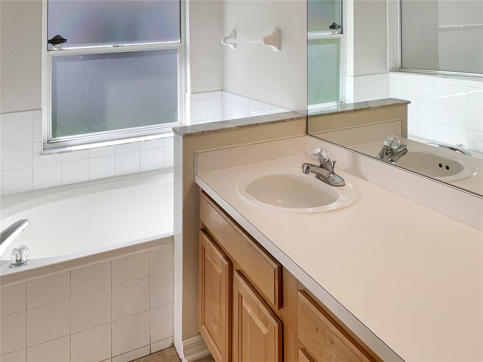 16843 HAWKRIDGE RD, LITHIA, FL, 33547