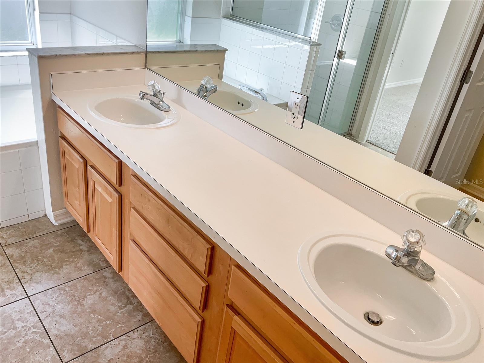 16843 HAWKRIDGE RD, LITHIA, FL, 33547