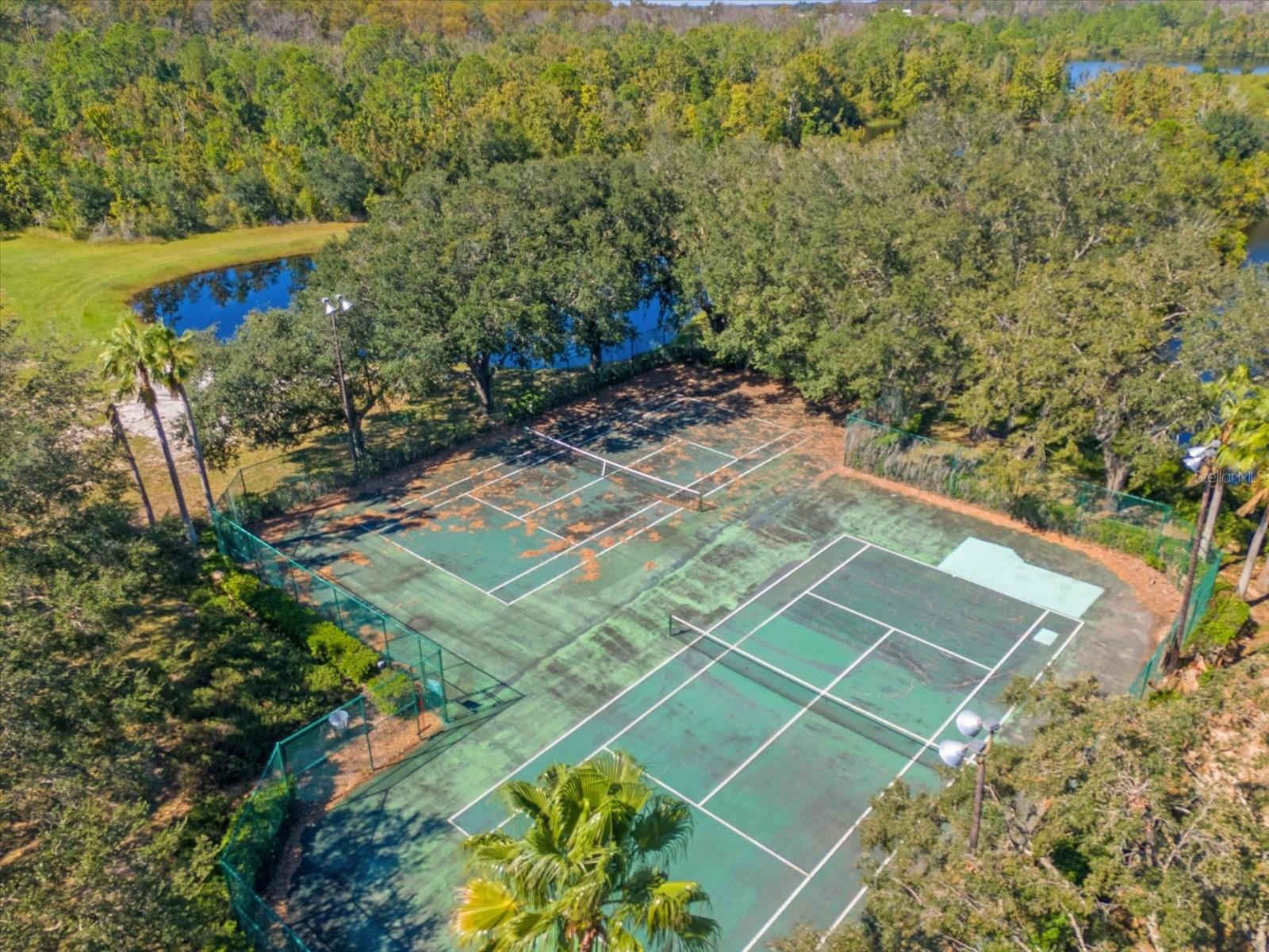 454 LAKE SHORE PKWY, DAVENPORT, FL, 33896