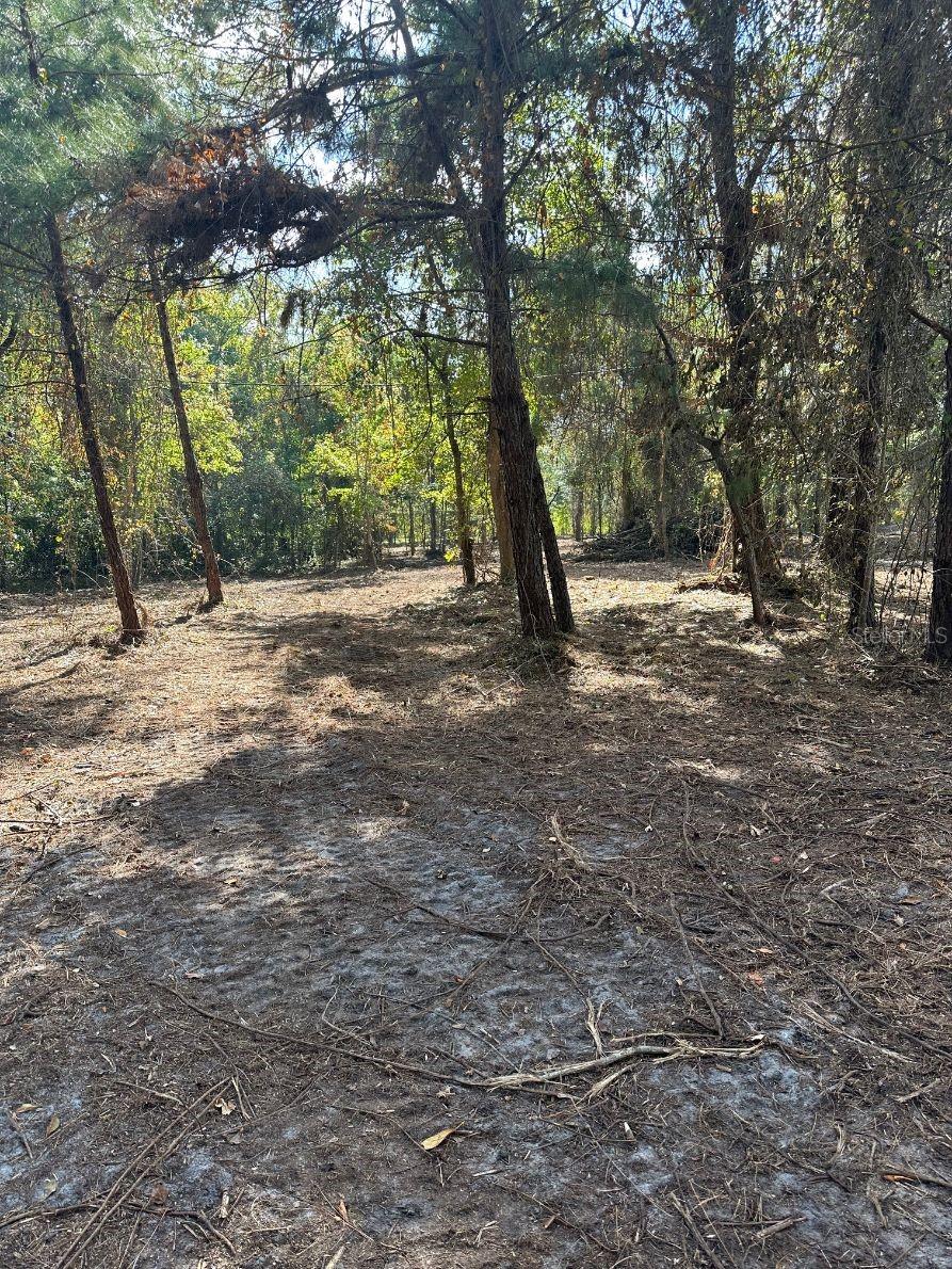 109 E MOCCASIN CREEK LN, PALATKA, FL, 32177