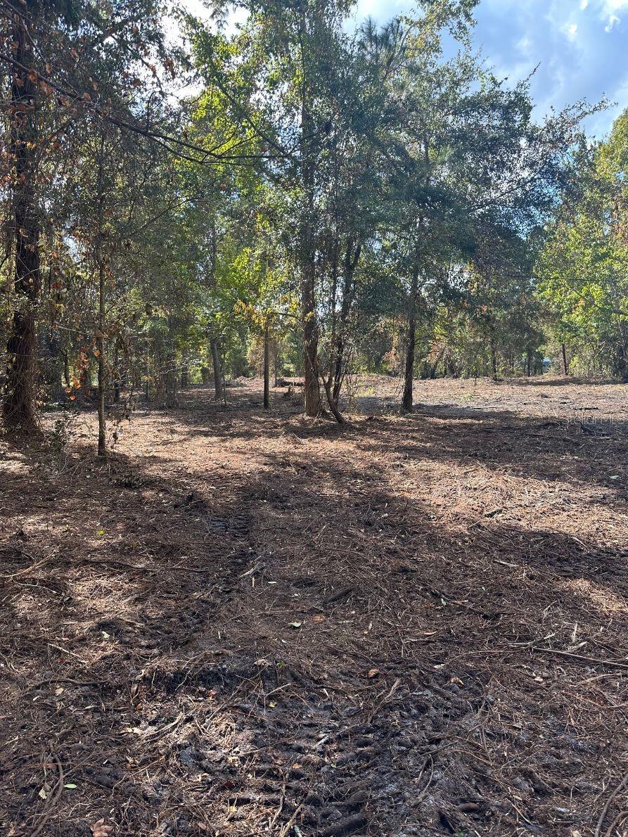 109 E MOCCASIN CREEK LN, PALATKA, FL, 32177