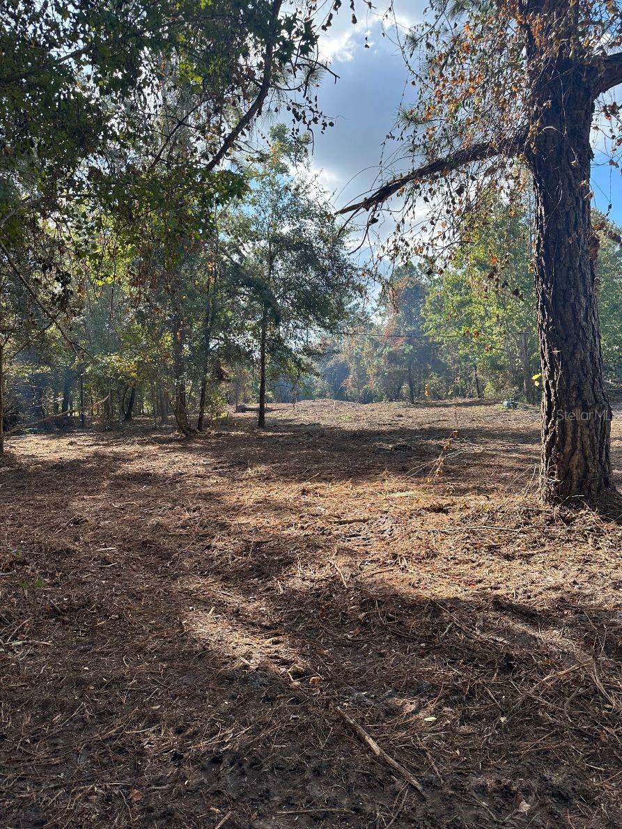 109 E MOCCASIN CREEK LN, PALATKA, FL, 32177