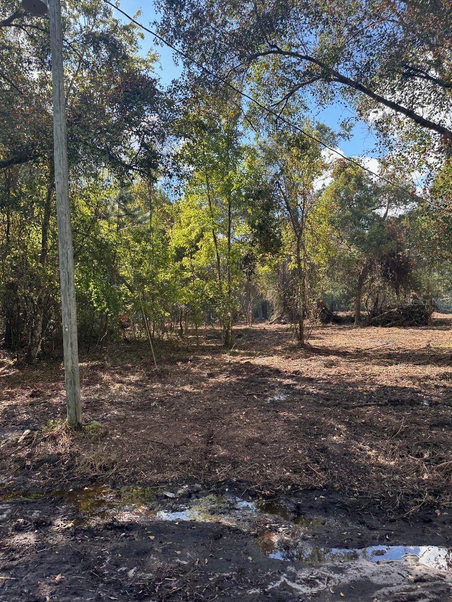 109 E MOCCASIN CREEK LN, PALATKA, FL, 32177