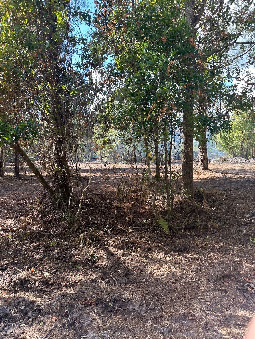 109 E MOCCASIN CREEK LN, PALATKA, FL, 32177