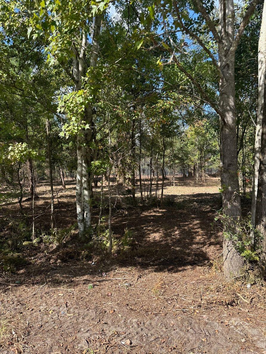 109 E MOCCASIN CREEK LN, PALATKA, FL, 32177