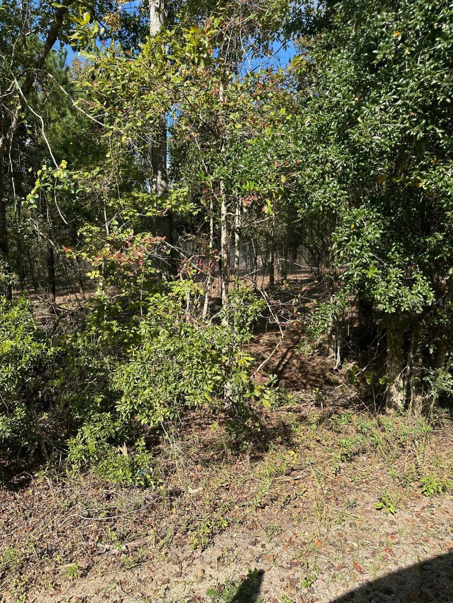 109 E MOCCASIN CREEK LN, PALATKA, FL, 32177