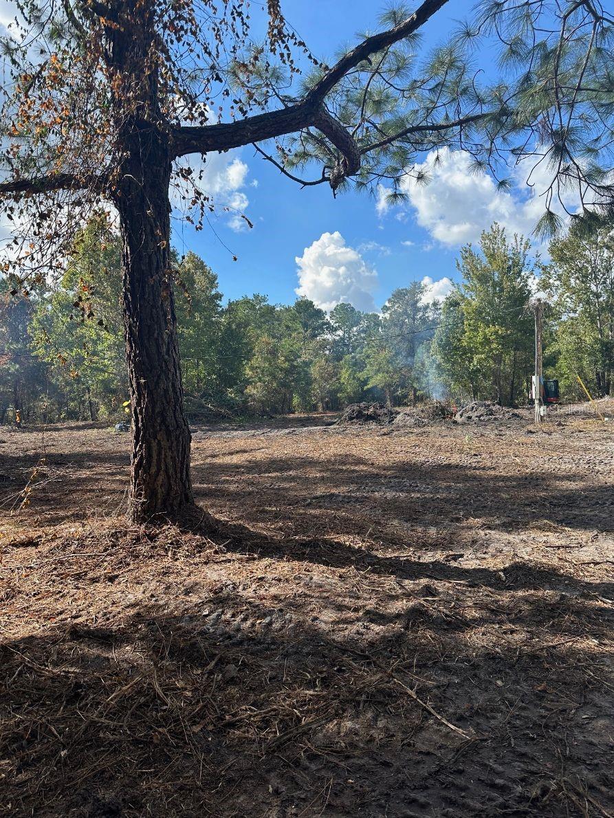 109 E MOCCASIN CREEK LN, PALATKA, FL, 32177