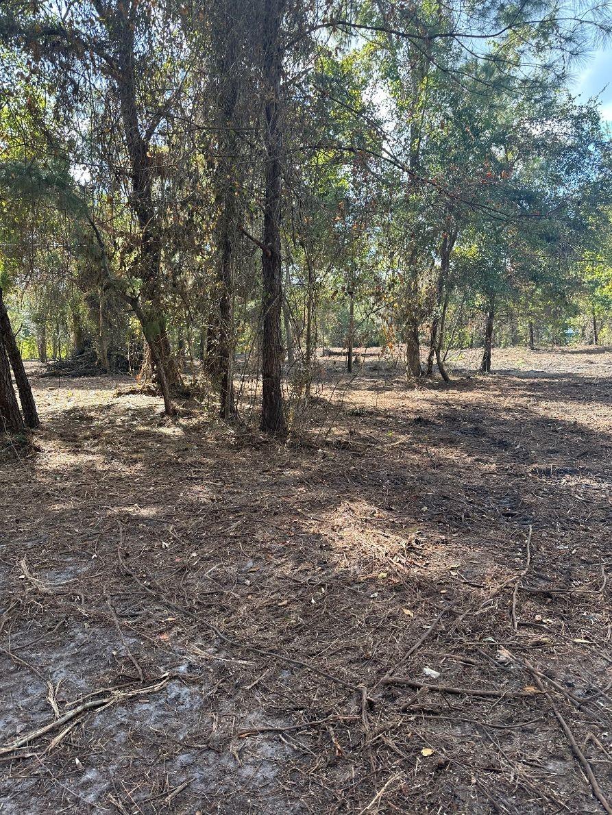 109 E MOCCASIN CREEK LN, PALATKA, FL, 32177