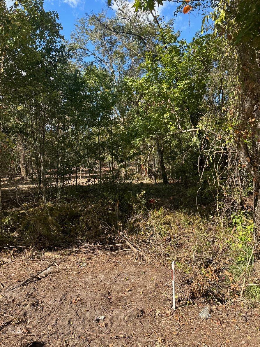 109 E MOCCASIN CREEK LN, PALATKA, FL, 32177