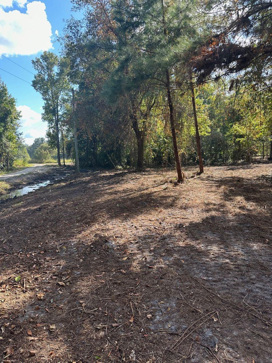 109 E MOCCASIN CREEK LN, PALATKA, FL, 32177