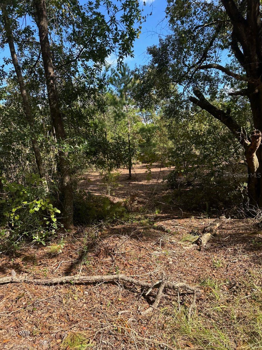 109 E MOCCASIN CREEK LN, PALATKA, FL, 32177