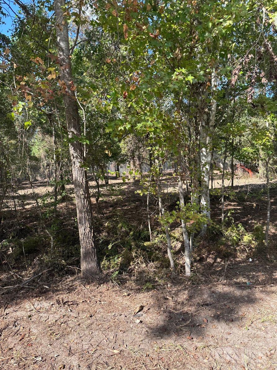 109 E MOCCASIN CREEK LN, PALATKA, FL, 32177