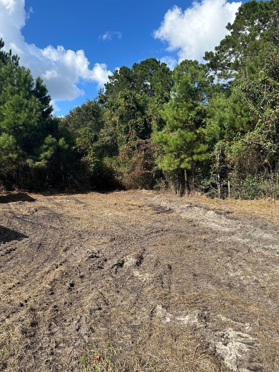 109 E MOCCASIN CREEK LN, PALATKA, FL, 32177