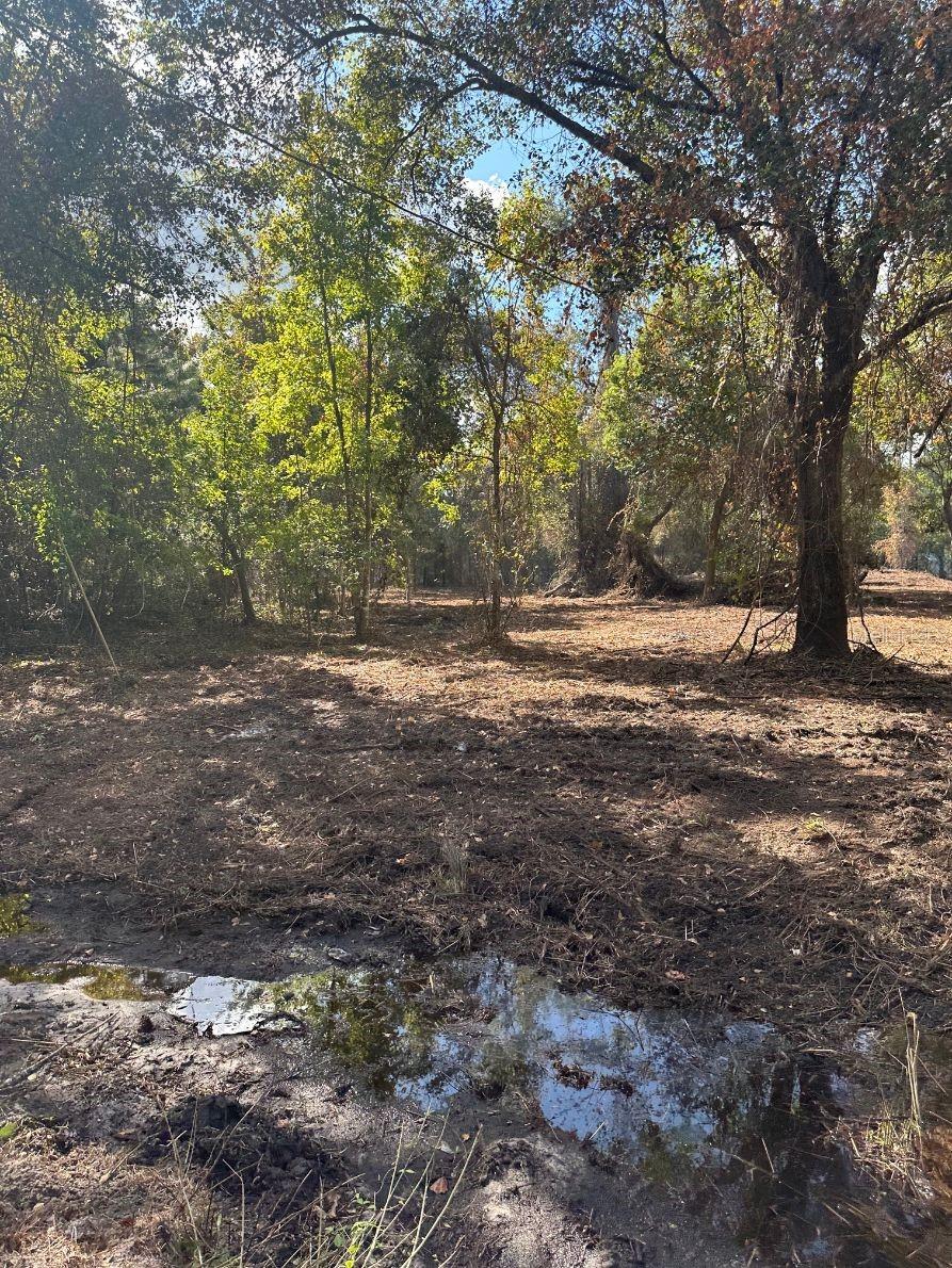 109 E MOCCASIN CREEK LN, PALATKA, FL, 32177