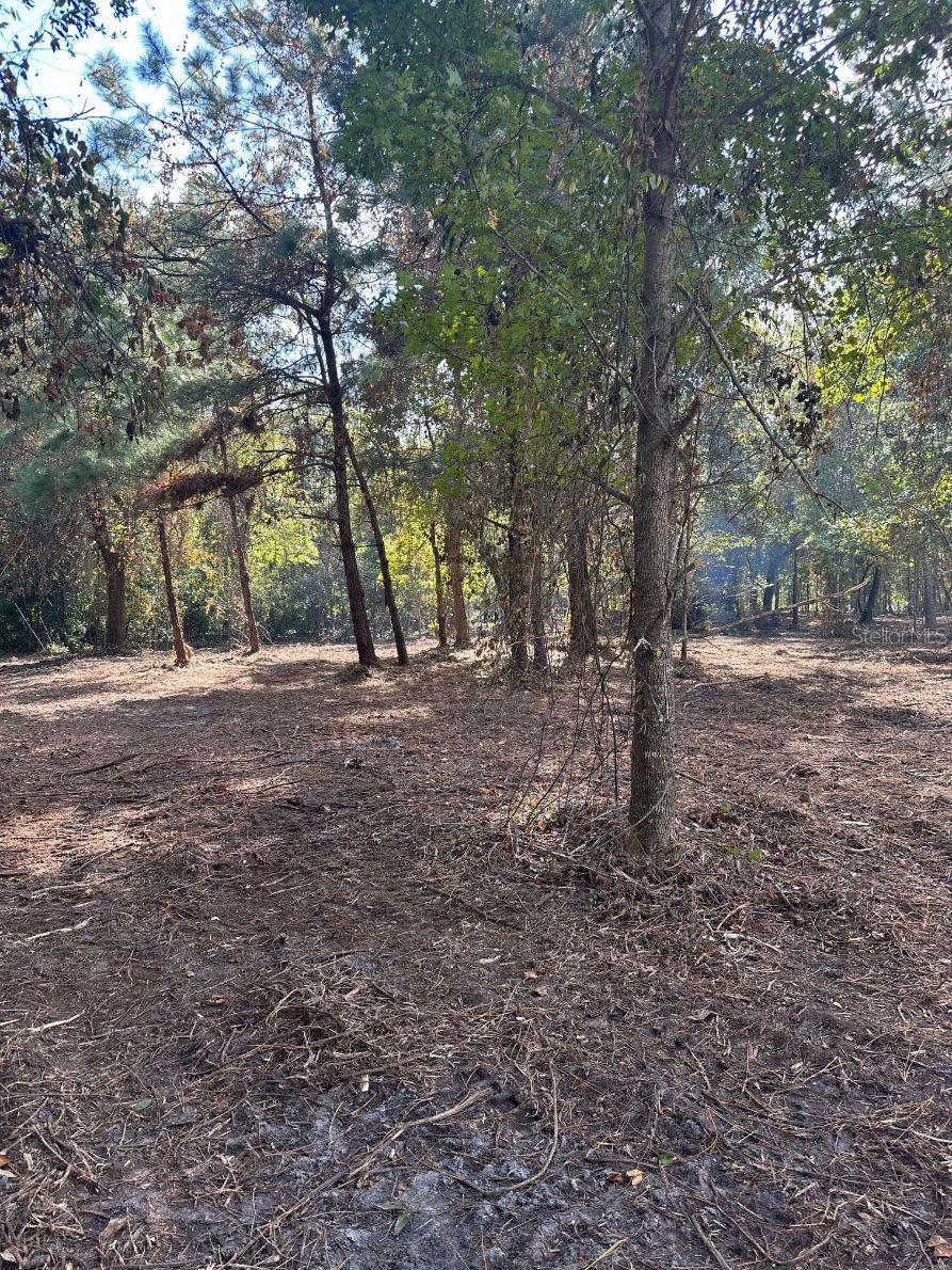 109 E MOCCASIN CREEK LN, PALATKA, FL, 32177