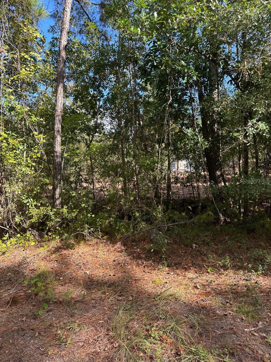 109 E MOCCASIN CREEK LN, PALATKA, FL, 32177
