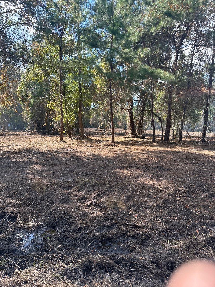 109 E MOCCASIN CREEK LN, PALATKA, FL, 32177