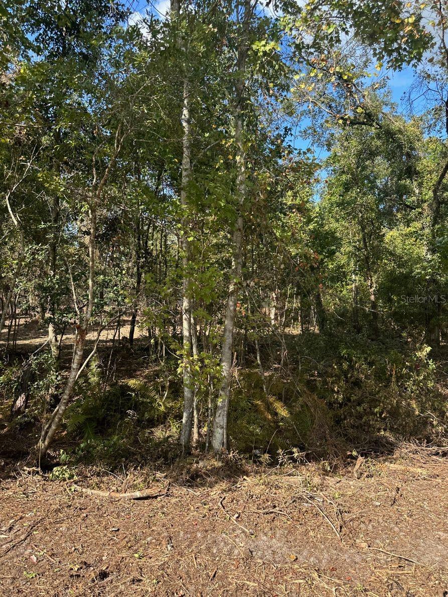 109 E MOCCASIN CREEK LN, PALATKA, FL, 32177