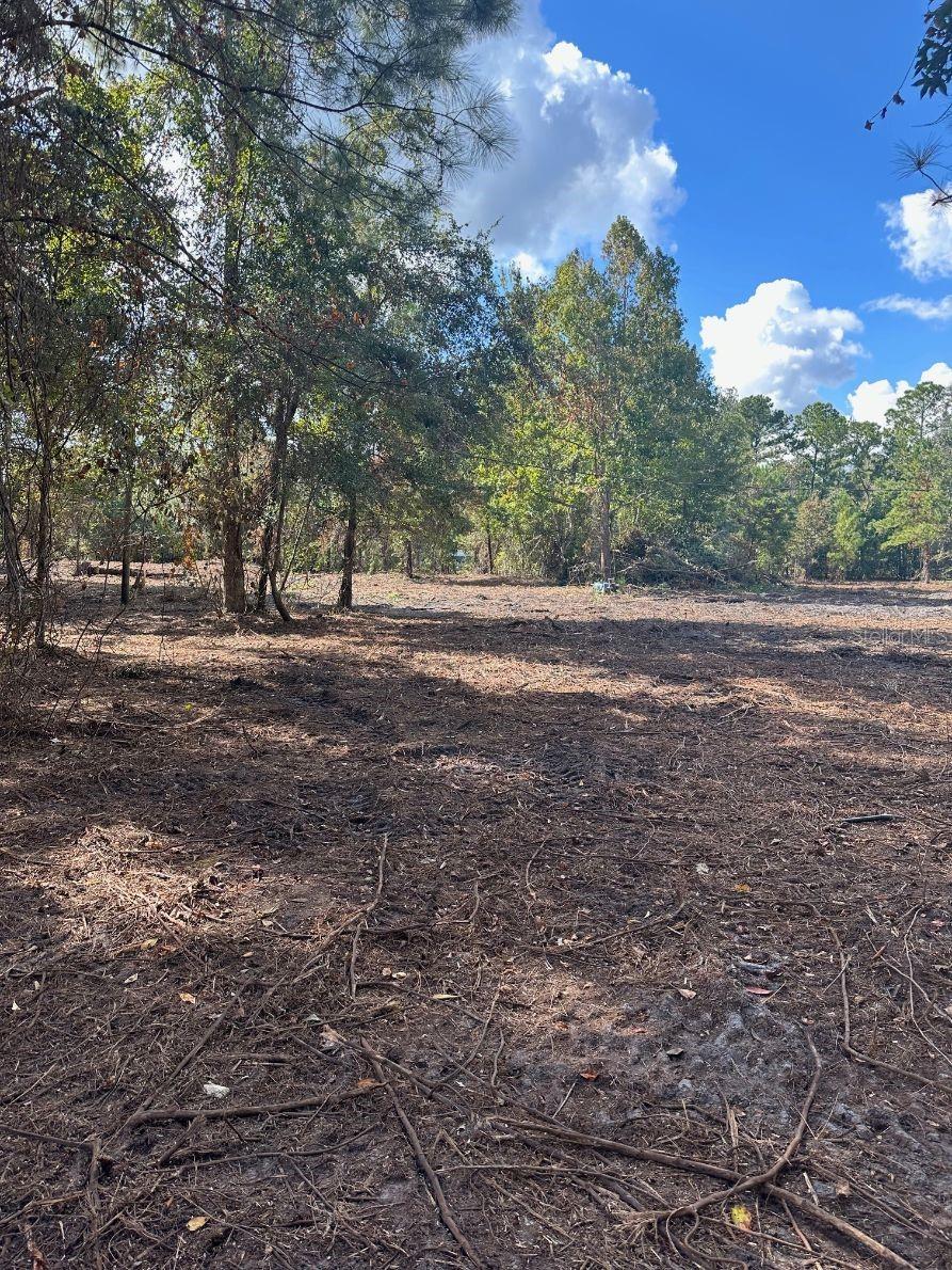 109 E MOCCASIN CREEK LN, PALATKA, FL, 32177