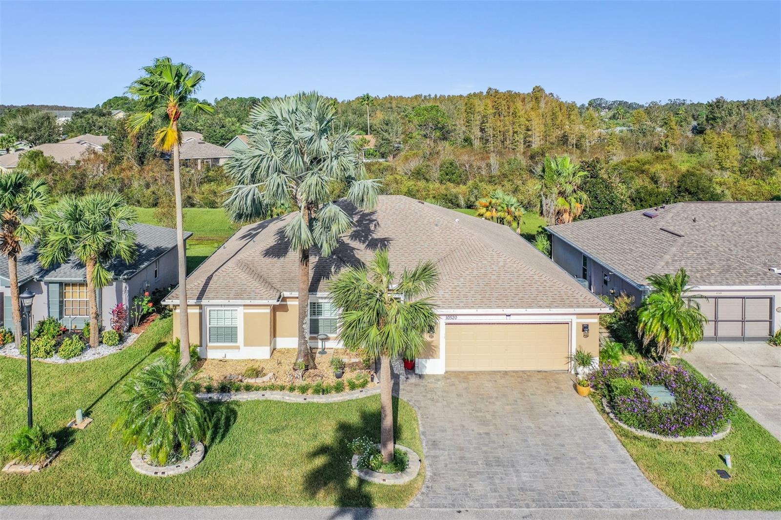 10520 COLLAR DR, SAN ANTONIO, FL, 33576