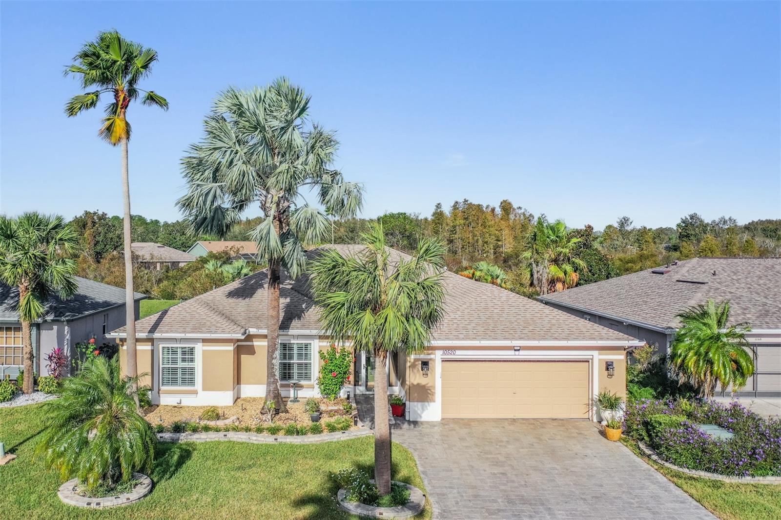 10520 COLLAR DR, SAN ANTONIO, FL, 33576