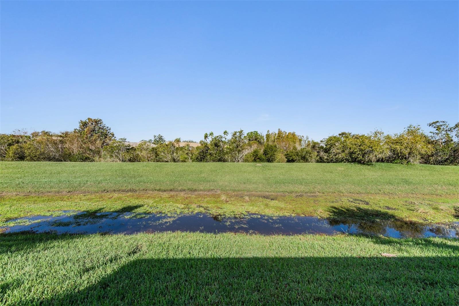 10520 COLLAR DR, SAN ANTONIO, FL, 33576