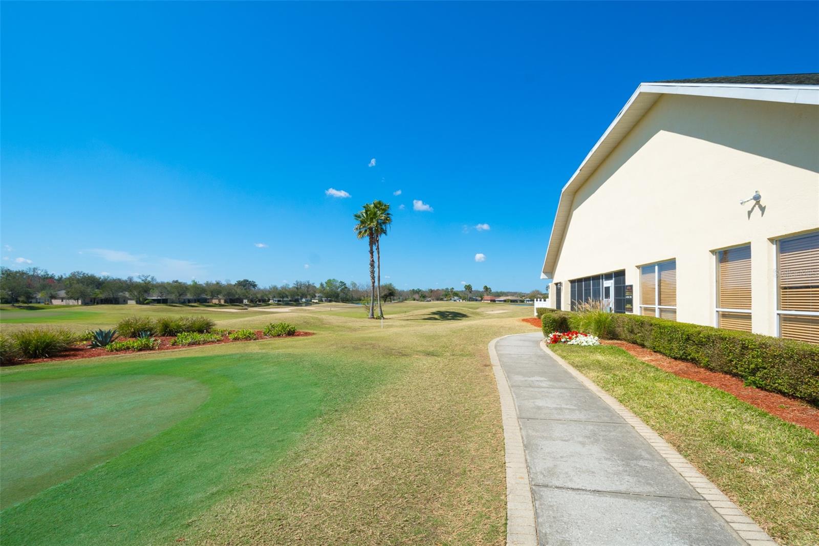 10520 COLLAR DR, SAN ANTONIO, FL, 33576