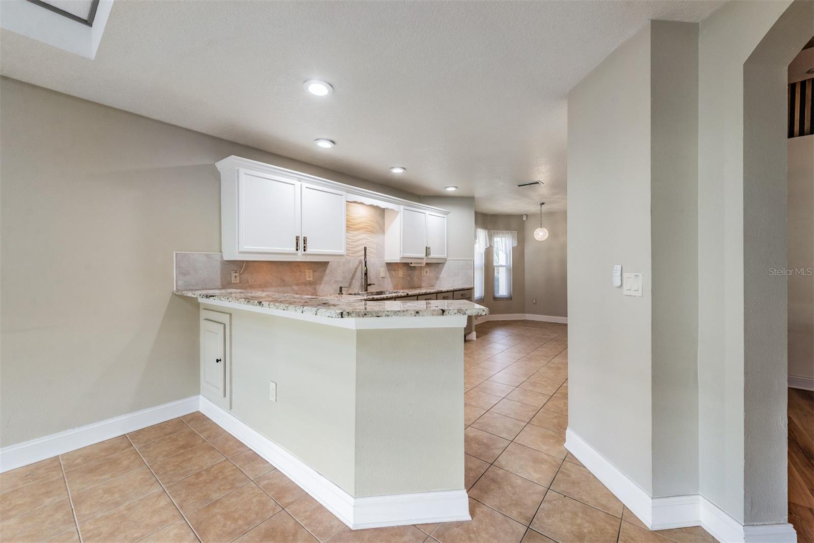 10520 COLLAR DR, SAN ANTONIO, FL, 33576
