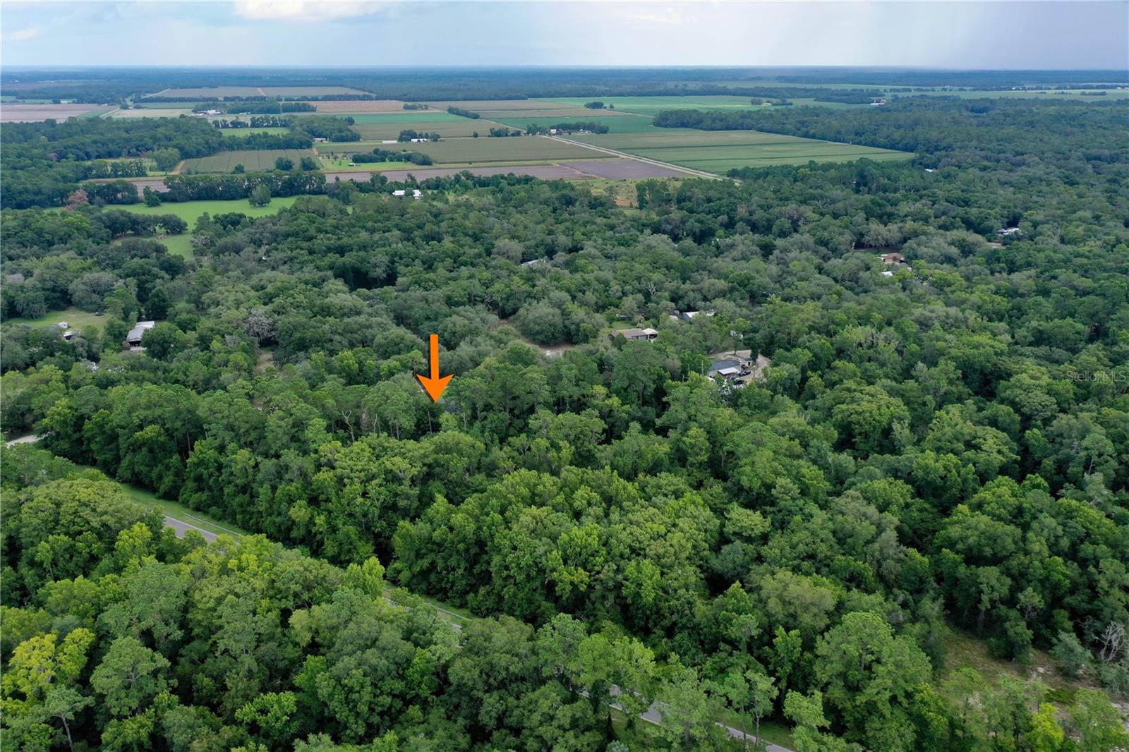 113 KENT ESTATE RD, ELKTON, FL, 32033