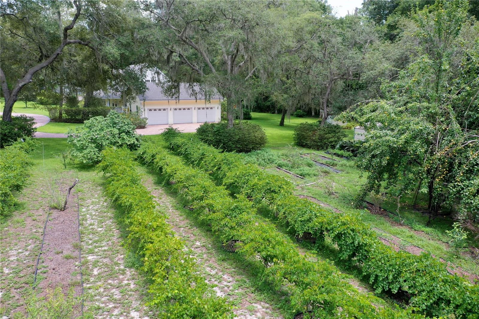 113 KENT ESTATE RD, ELKTON, FL, 32033