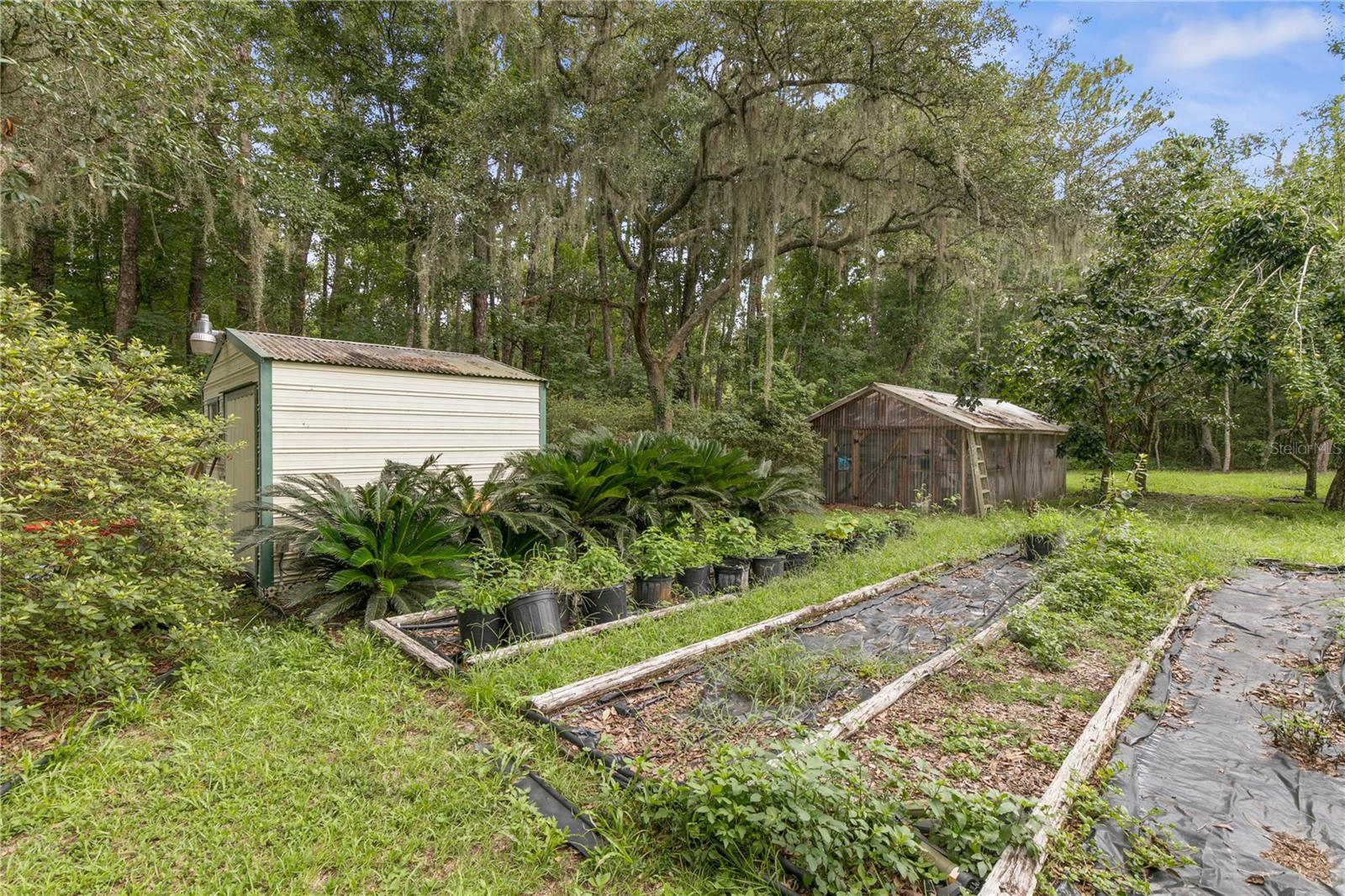 113 KENT ESTATE RD, ELKTON, FL, 32033