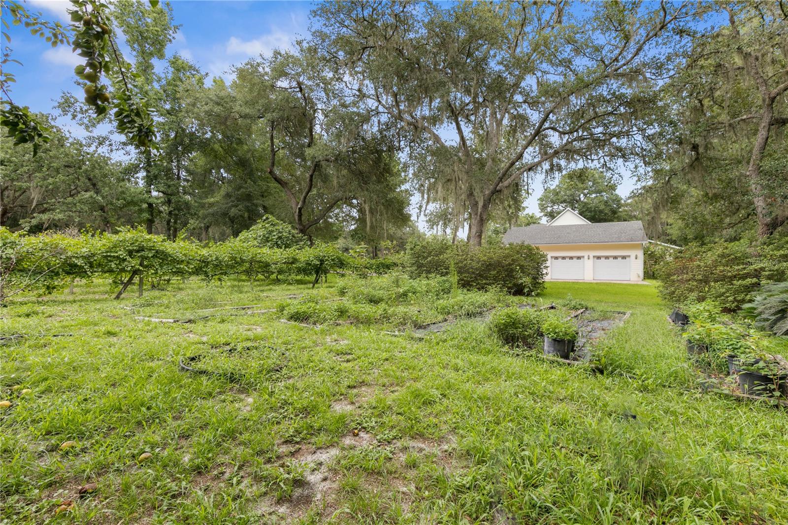 113 KENT ESTATE RD, ELKTON, FL, 32033